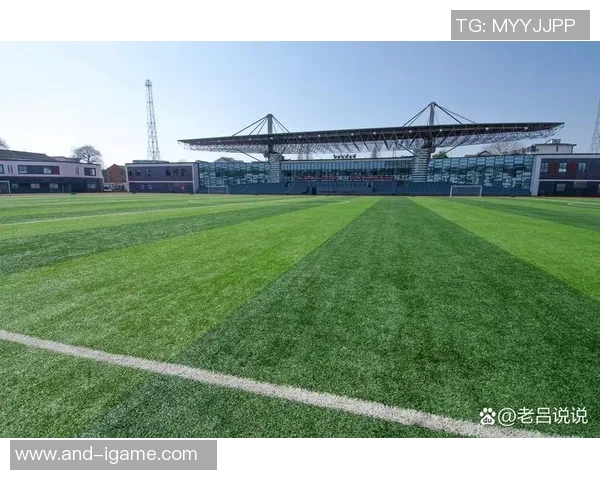 推动足球事业发展加强足球工作领导小组的组织与协调机制建设